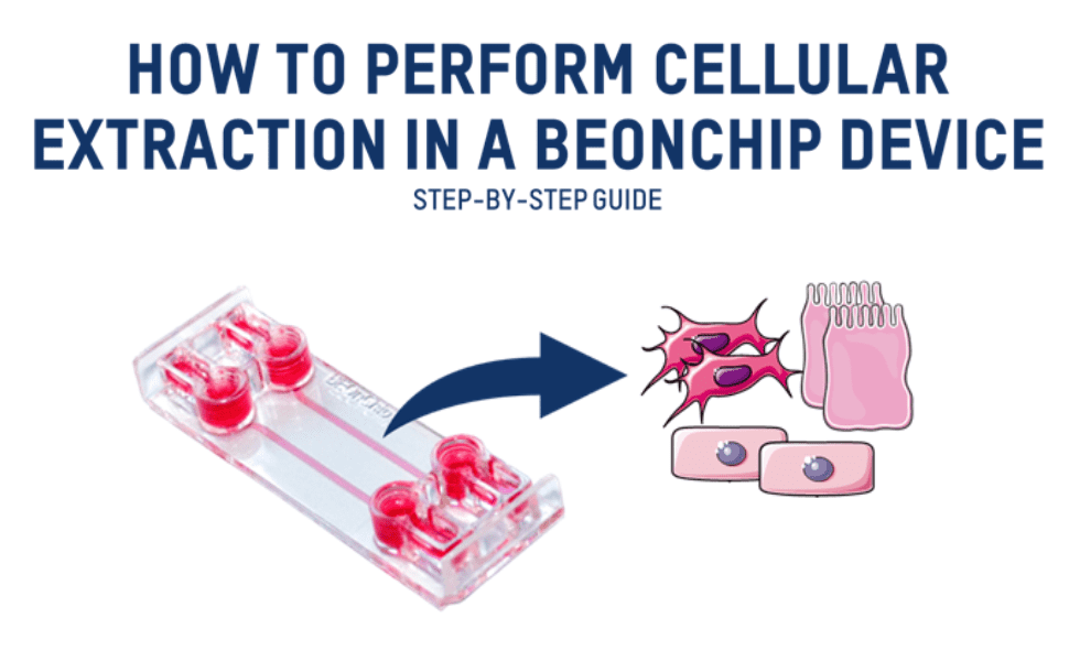 How to perform Cellular Extraction in a Beonchip device: Step-bt-step guide